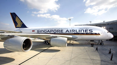 Farm-to-Plane: How Singapore Airlines Brings Fish to the Skies