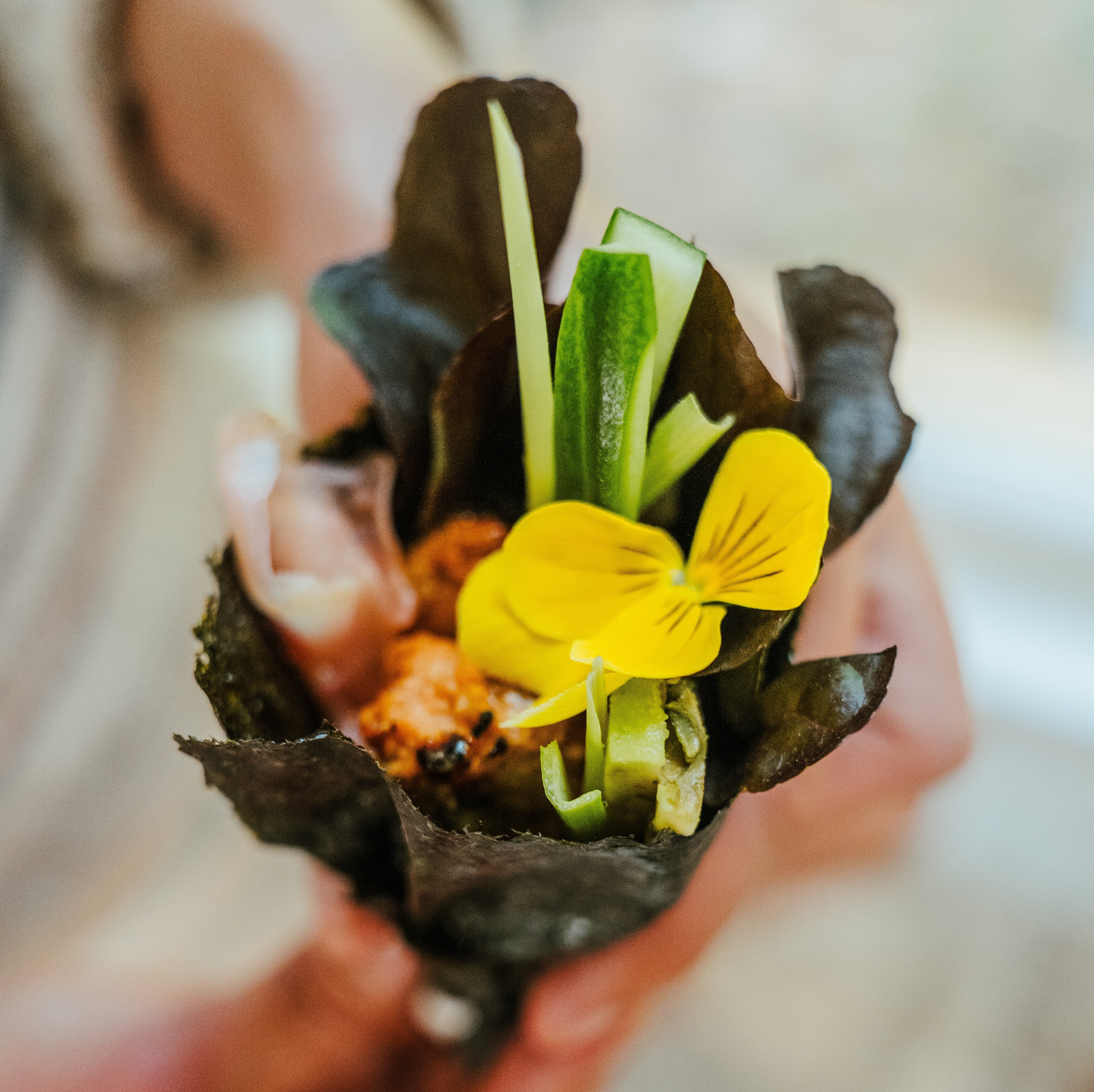 Miso Honey Trout Sushi Bake Handrolls